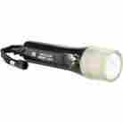 2410-019-117 Pelican Nemo Trade 2410 Led Dive Flashlight 183 Lumens Black 19428135041
