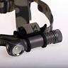 Xhp35 H604w Zebralight Flood Neutral White Headlamp 0846584012790