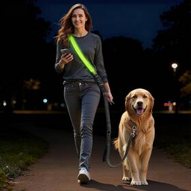 Bb0081 Homrich Hands-free Dog Leash - Led Light Up Rechargeable And Jogging With Car Seat Belt