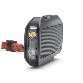 Amp-60034 I2d Licensed Brands Llc Rechargeable Flashlight 300 Lumen Led Waterproof Red Mode Usb