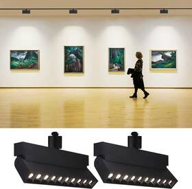 A-77406 Leonlite 24w Dimmable Led Track Lighting Heads For H Type Rails 100-2