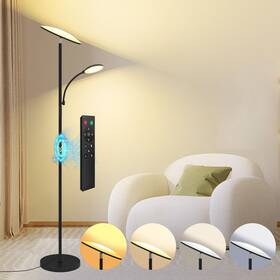 Fle-042-f2-c58-k1-ee-fff Lilaiaro Floor Lamp 2025 Upgraded 42w 4500lm Super Bright Led With Rotatab