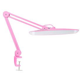 Neatfi 060890336196 Xl 2 200 Lumens Led Desk Lamp With Clamp 24 Watt Bright Architect Tas