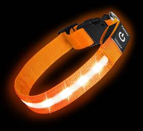 Uspewplcol02 Petisay Super Bright Led Dog Collar - Fully Waterproof And Adjustable Glow Usb