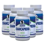 Chanca Piedra Fruit 1000 Mg - Kidney Support Supplement Stone Breaker 60. Fixed Price $64.99.