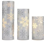 August & Leo Set Of 3 Holiday Lanterns With Led Fairy Lights 881240. Fixed Price $39.95.