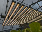 720 Watt Led Grow Light Full Spectrum New In Box. Fixed Price $300.00.