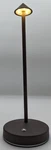 Eypid Cordless Led Lamps Rechargeable Touch Portable Rust X2. Fixed Price $59.99.