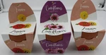 Buzzy Coneflower Zinnia Grow Kit 3-PACK Terracotta Pot Seeds Indoor Gardening. Fixed Price $14.99.