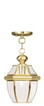 Livex Lighting 2152-02 Monterey Outdoor Pendant Chandeller Polished Brass. Fixed Price $185.96.