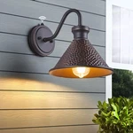 Dusk To Dawn Outdoor Gooseneck Wall Sconce With Dark Sky Cast Hammered Alumin.... Fixed Price $70.82.