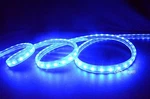 Ul LISTED,10 Feet,blue,dimmable,super Bright 2700 Lumen 120VOLT Flat Led Strip. Fixed Price $22.95.