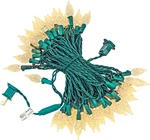 Christmas Lights Outdoor, Faceted C6 25FT 50 Led String Plug In, Waterpro. Fixed Price $35.99.