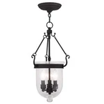 Livex Lighting 5083-04 Jefferson 3-LIGHT Hanging 10"L 10"W 20"H, Black. Fixed Price $113.77.