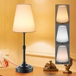 Portable Cordless Lamp, Built In Rechargeable Battery, 2700-6000K Color.... Fixed Price $31.31.
