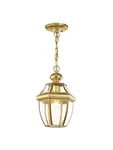 Livex Lighting 2152 Brass Monterey 1-LIGHT Outdoor Small Pendant. Fixed Price $185.96.