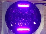 Fits 75W Black Projector Led Bulb Headlight Harley With Pink Halo. Fixed Price $184.99.