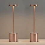 Xih 2 Pack Led Rechargeable Cordless 3.15 13.39 Inches, Rose Gold. Fixed Price $40.90.