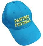 Panther Football Hat Sky Blue Baseball Cap Eric Taylor Friday Night Lights Gift. Fixed Price $14.99.