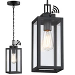 13 Inch Outdoor Pendant Light Dusk To Dawn Hanging Porch For Entrance F.... Fixed Price $69.60.