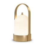Tubicen Portable Lamp, Battery Operated Cordless Outdoor Lamps Recharge.... Fixed Price $57.12.