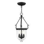 Livex Lighting Jefferson 3 Black Chain Lantern. Fixed Price $250.99.