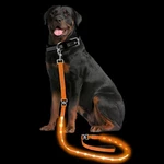 Petisay Light Up Dog Leash For Night Walking - Usb Rechargeable Waterproof. Fixed Price $45.67.