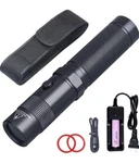 Lightfe Flashlight 395NM Black UV302A. Fixed Price $28.99.