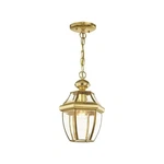 Livex Lighting 2152-02 Monterey 1-LIGHT Outdoor Hanging Lantern, Polished Brass. Fixed Price $150.66.