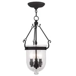 Livex Lighting 5083-04 Jefferson 3-LIGHT Hanging Lantern, Black. Fixed Price $390.98.