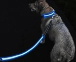 Ruff Life Led Safety Leash And Light Up Collar- Reflective- Big & Small. Fixed Price $14.99.
