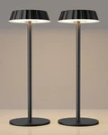 Eppiebasic Cordless Table Lamp Rechargeable: 2 Pack Fast Charging - 5000.... Fixed Price $29.16.