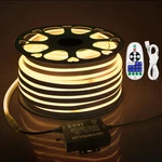 150FT Led Neon Strip Lights For Outdoor Waterproof Rope Ac 110V 130V. Fixed Price $215.77.