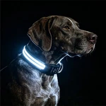 Petisay Dog Light Up Collar For Night Walking - High Large (18" 23"), White. Fixed Price $27.84.