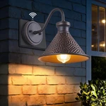 Dusk To Dawn Outdoor Gooseneck Wall Sconce With Dark Sky Cast Hammered Alumin.... Fixed Price $99.99.