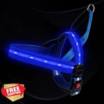 Petisay Led Dog Harness Blue Large, Usb Rechargeable, Waterproof, No Pull. Fixed Price $43.99.