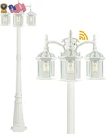 Partphoner Dusk To Dawn Outdoor Lamp Post Light Birdcage 3 Head Waterproof O.... Fixed Price $278.03.