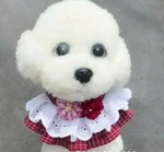 Dog Pet Fashion Personalized Cute Scarf Collar - S, M, L,. Fixed Price $7.99.