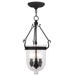 Livex Lighting 5083-04 Jefferson 10 Inch Black Chain Lantern. Fixed Price $339.96.