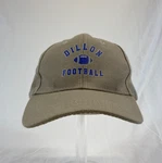 Dillon Panther Football Baseball Cap Strapback Hat Friday Night Lights Outdoor. Fixed Price $22.99.