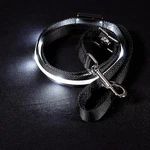 Petisay Light-up Dog Leash 6FT Usb-c Rechargeable Waterproof Black & White. Fixed Price $15.47.
