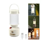 Rechargeable Led Mini Camping Light, Outdoor Portable Ladybug Decor... Fast Ship. Fixed Price $17.99.